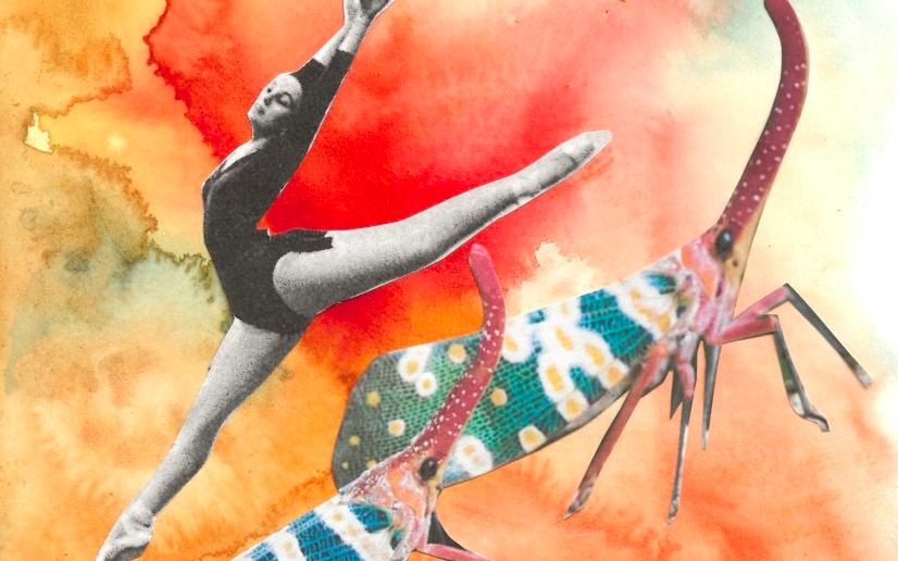 Monster Chetwynd: Lanternfly Ballet