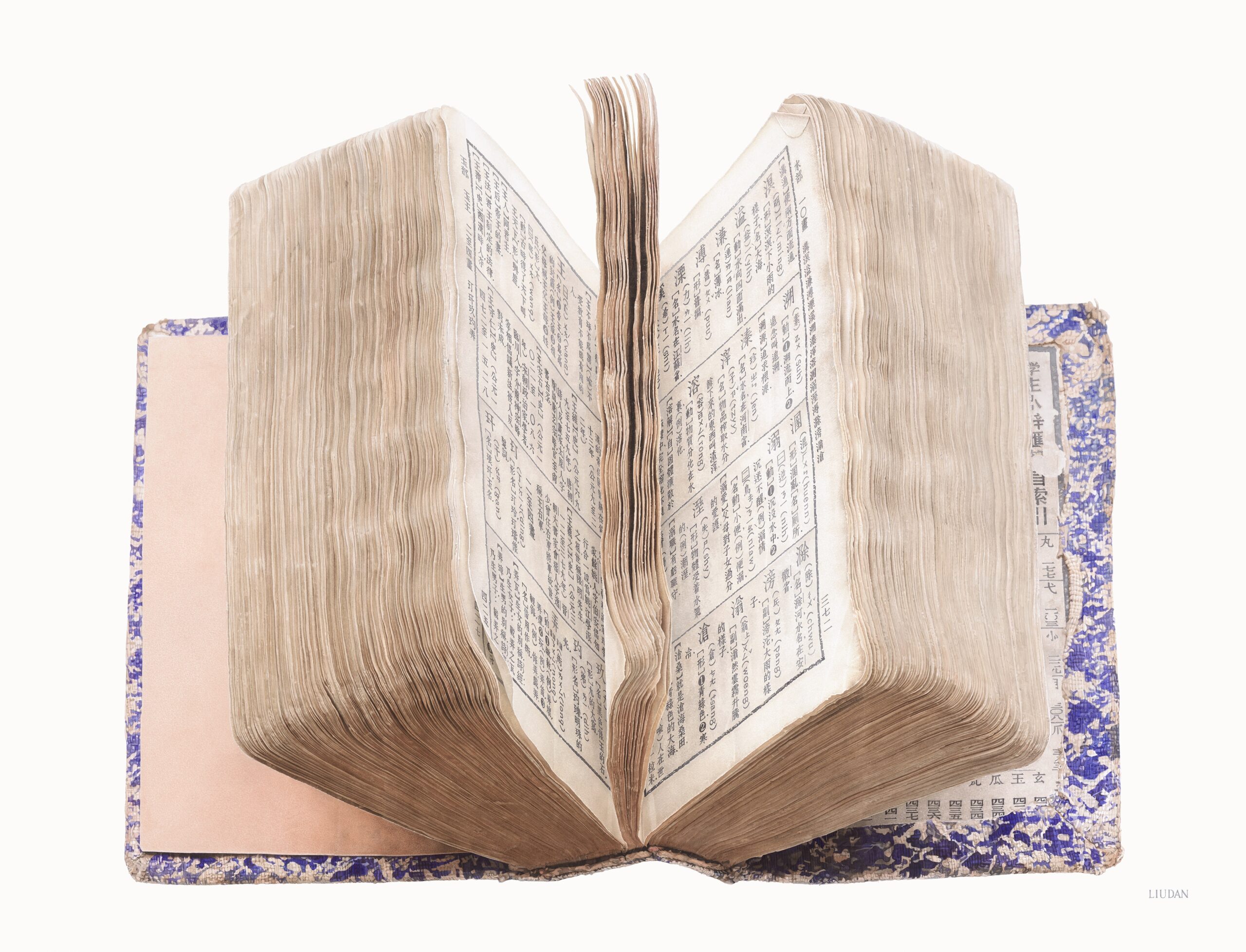 Liu Dan: Morphogenesis