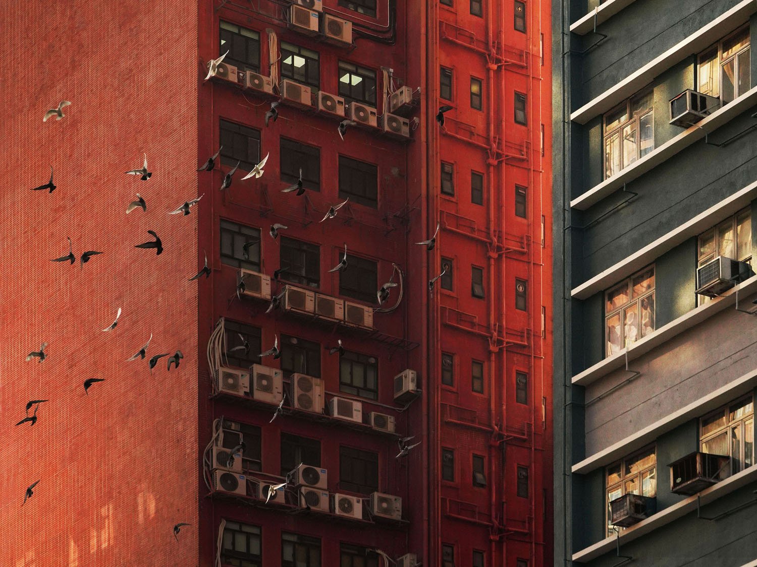 Romain Jacquet-Lagrèze: Echoing Above