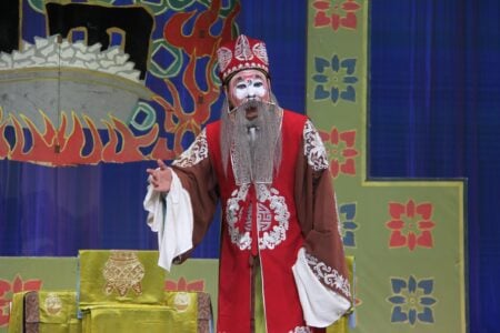 Li Tianbao Gets Married