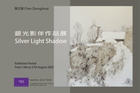 Chen Zhengshuai: Silver Light Shadow