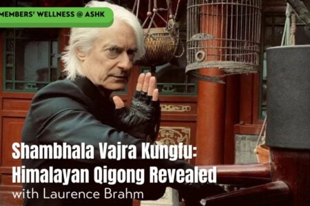 Shambhala Vajra Kungfu: Himalayan Qigong Revealed