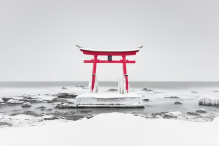 Torii &#8211; Ulana Switucha