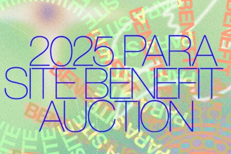 2025 Para Site Benefit Auction