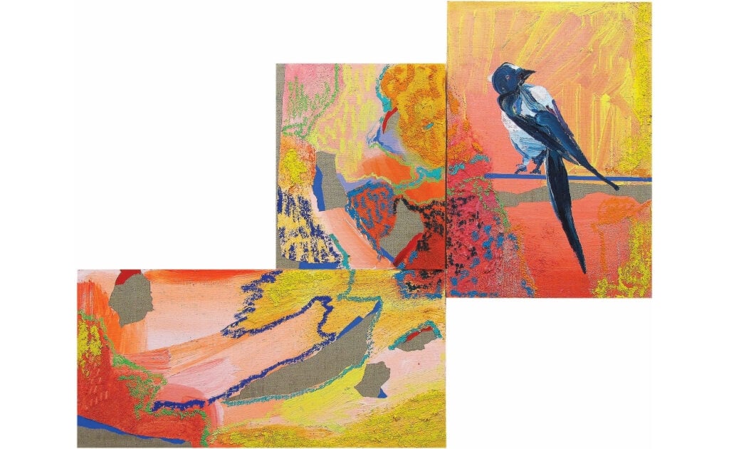 Nuria Mora - Waterfalls and Magpies