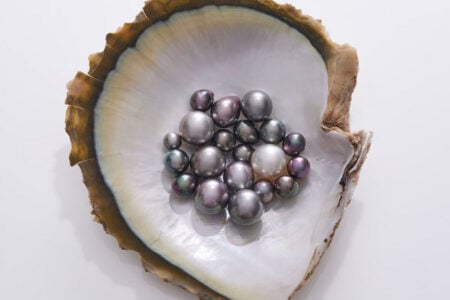 Pearls: History, Science and Legends