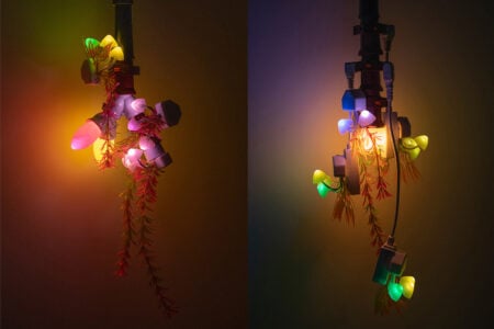 Trevor Yeung: swallowing rumination, gracefully