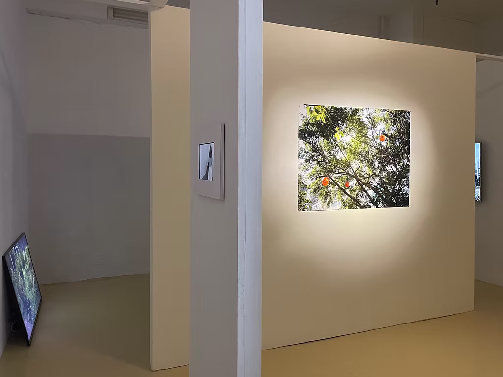 Betty Jiu - I remember you with wind in your hair