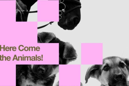 [Sound\Bridges] Here Come the Animals! – Concert