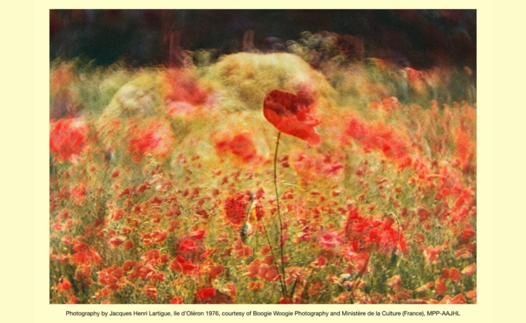 Keep only the Sunshine