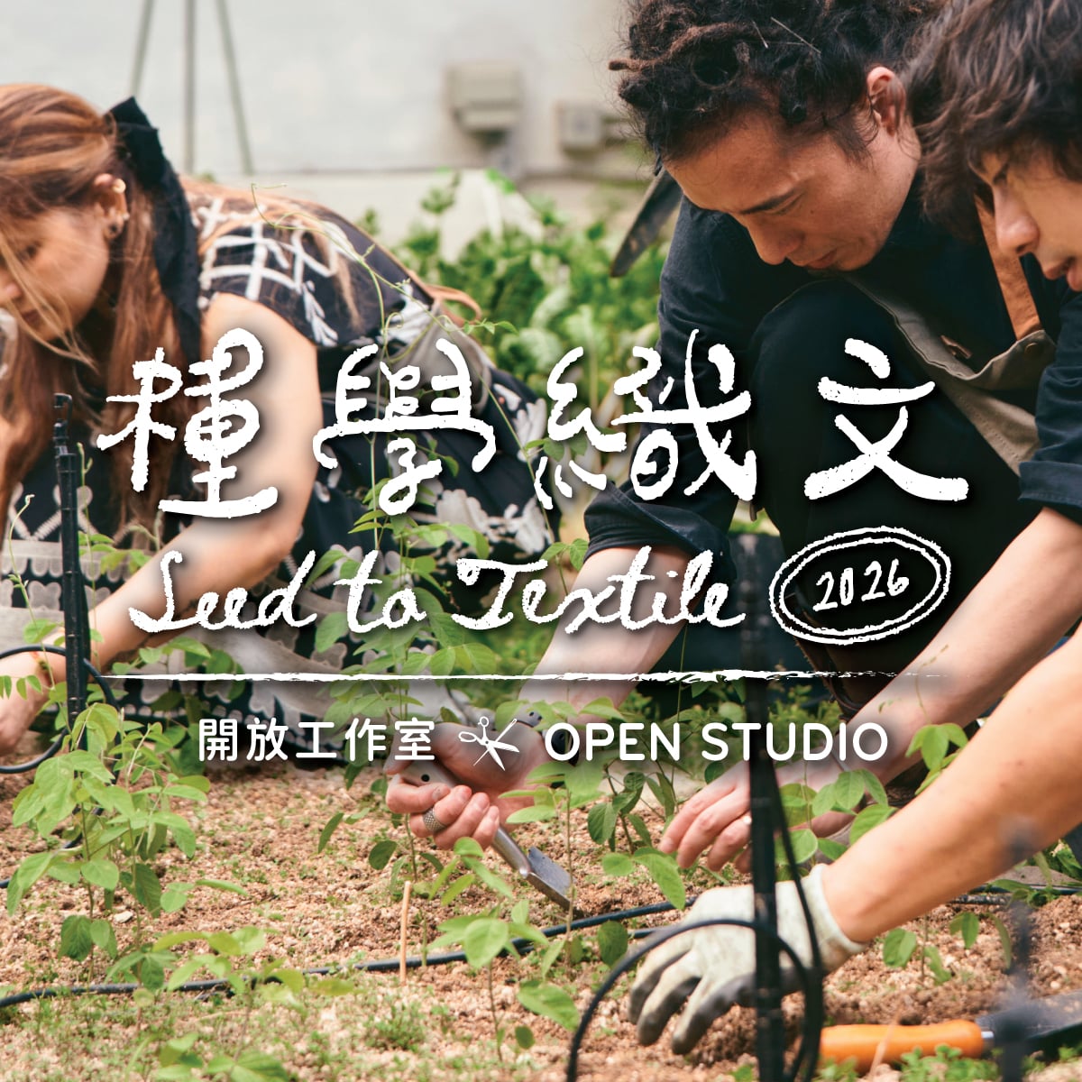 Seed to Textile 2026: Open Studio